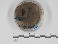 登錄號:F0030267藏品圖，第1張