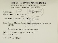 登錄號:F0030268藏品圖，第2張