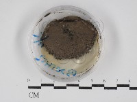 登錄號:F0030269藏品圖，第1張