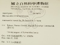 登錄號:F0030270藏品圖，第2張