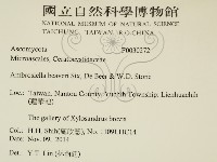 登錄號:F0030272藏品圖，第2張