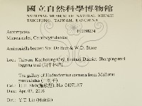 登錄號:F0030274藏品圖，第2張