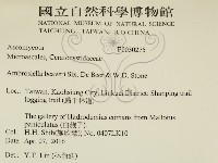 登錄號:F0030275藏品圖，第2張
