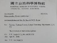 登錄號:F0030276藏品圖，第2張