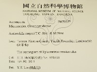 登錄號:F0030277藏品圖，第2張