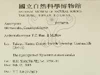 登錄號:F0030278藏品圖，第2張