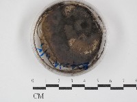 登錄號:F0030279藏品圖，第1張