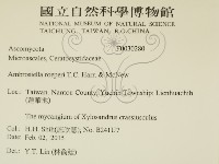 登錄號:F0030280藏品圖，第2張