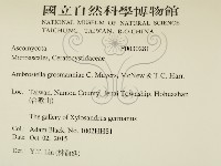 登錄號:F0030281藏品圖，第2張