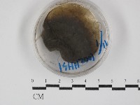 登錄號:F0030281藏品圖，第1張