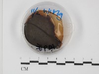 登錄號:F0030284藏品圖，第1張