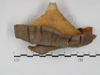 登錄號:F0030286藏品圖，第1張