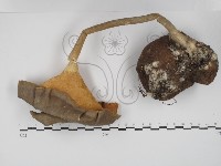 登錄號:F0030286藏品圖，第3張