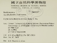 登錄號:F0030287藏品圖，第2張