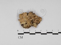 登錄號:F0030287藏品圖，第1張