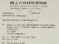 登錄號:F0030290藏品圖，第2張