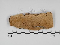 登錄號:F0030290藏品圖，第1張