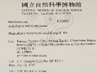 登錄號:F0030291藏品圖，第2張