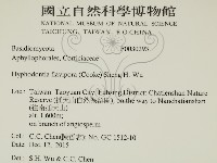 登錄號:F0030293藏品圖，第2張