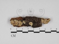 登錄號:F0030293藏品圖，第1張