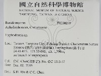 絲齒菌屬藏品圖，第2張