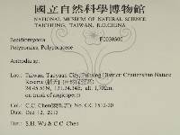 薄孔菌屬藏品圖，第2張