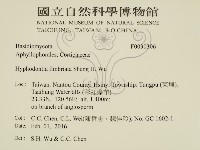 登錄號:F0030306藏品圖，第2張