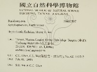 登錄號:F0030307藏品圖，第2張