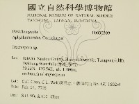 登錄號:F0030309藏品圖，第2張