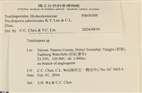 登錄號:F0030309藏品圖，第3張
