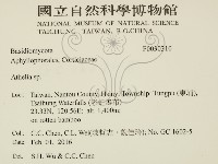 阿太菌屬藏品圖，第2張