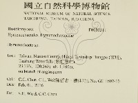 刺革菌屬藏品圖，第2張
