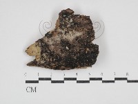 登錄號:F0030312藏品圖，第1張