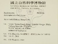 登錄號:F0030314藏品圖，第2張