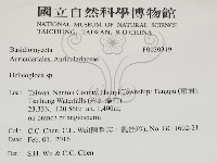 登錄號:F0030319藏品圖，第2張