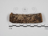 登錄號:F0030319藏品圖，第1張