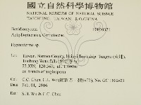 絲皮菌屬藏品圖，第2張