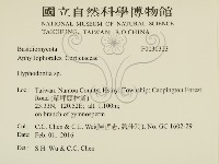 絲齒菌屬藏品圖，第2張