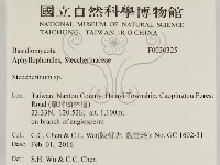 齒耳菌屬藏品圖，第2張