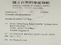 登錄號:F0030329藏品圖，第2張
