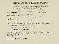 齒耳菌屬藏品圖，第2張