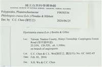 登錄號:F0030336藏品圖，第3張