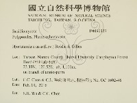 登錄號:F0030337藏品圖，第2張