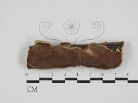 登錄號:F0030337藏品圖，第1張