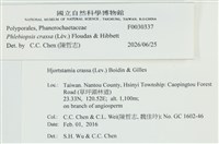 登錄號:F0030337藏品圖，第3張