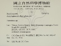 筍殼菌屬藏品圖，第2張