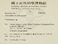 顯絲菌屬藏品圖，第2張