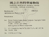 筍殼菌屬藏品圖，第2張