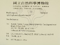 齒耳菌屬藏品圖，第2張