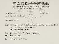 刺皮菌屬藏品圖，第2張